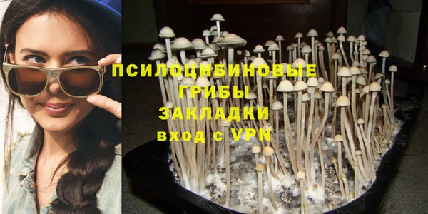 каннабис Карпинск