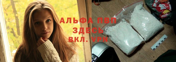 спиды Киреевск