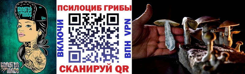 Купить где  Макаров  Псилоцибиновые грибы Psilocybine cubensis 