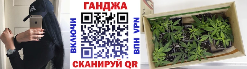 Купить где  Макаров  Бошки Шишки THC 21% 